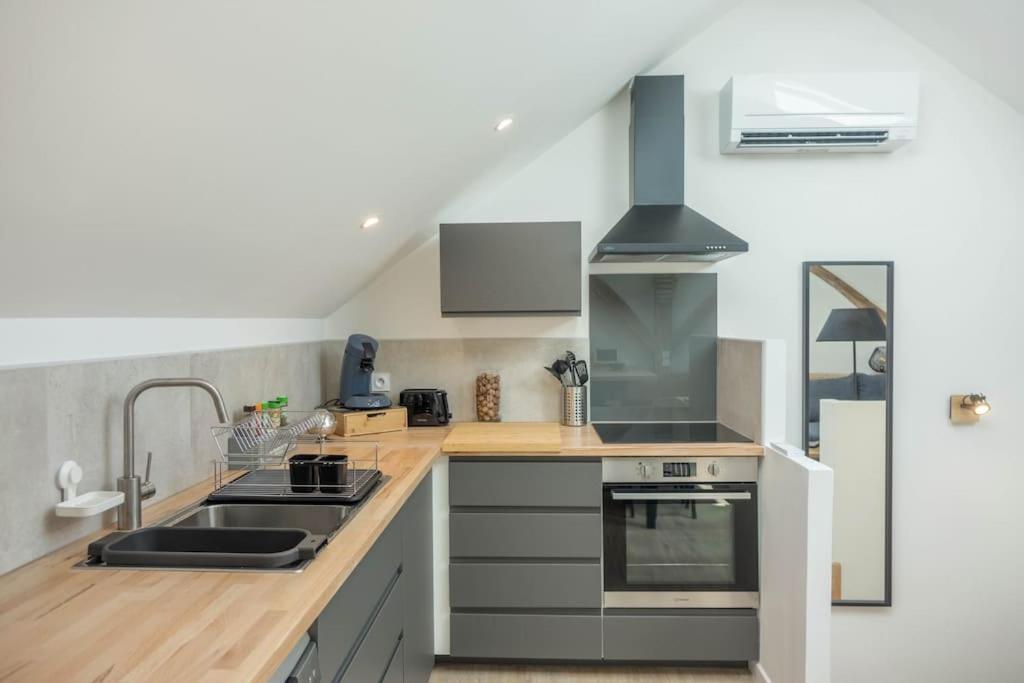 Maison/Appartement Avec Jardin Saint-Denis-en-Val Екстер'єр фото